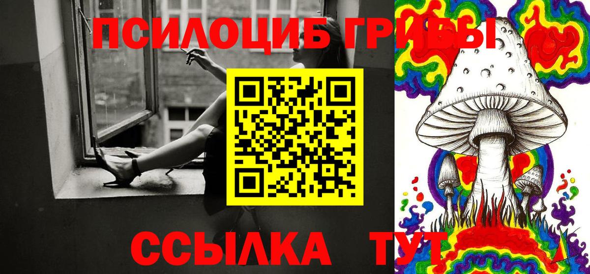 Псилоцибиновые грибы мицелий  Вход с VPN  как найти наркотики  Мурманск 