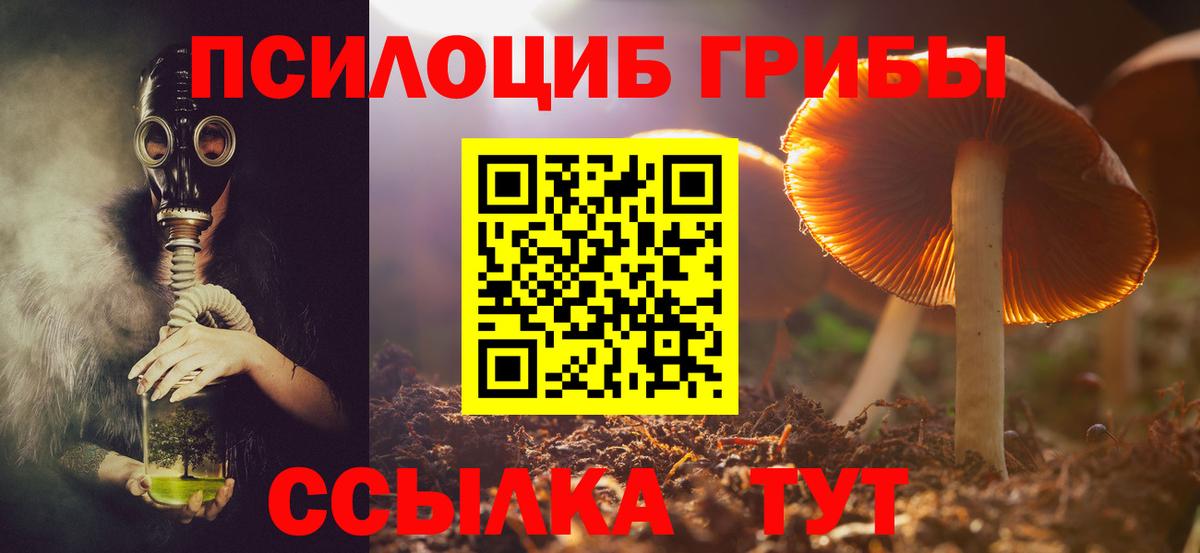 Псилоцибиновые грибы Cubensis Мурманск